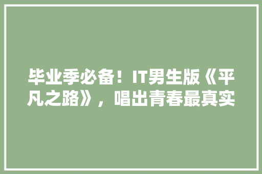 毕业季必备！IT男生版《平凡之路》，唱出青春最真实心声