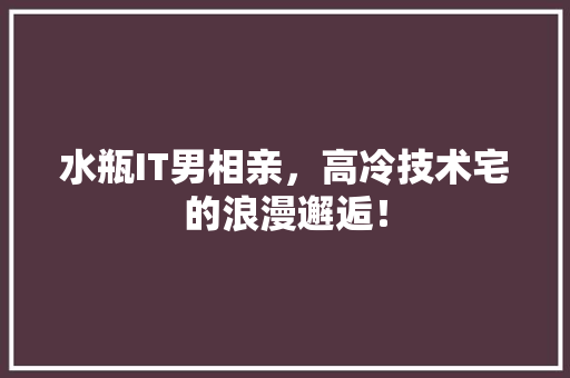 水瓶IT男相亲，高冷技术宅的浪漫邂逅！
