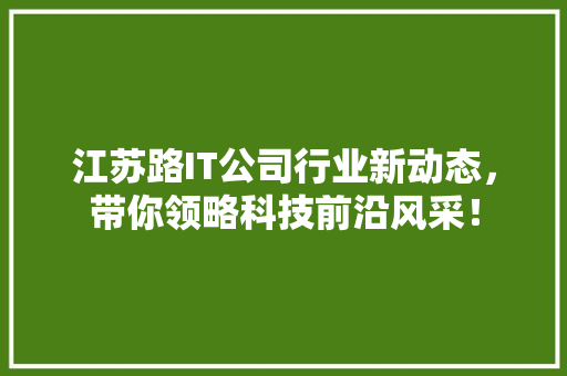 江苏路IT公司行业新动态，带你领略科技前沿风采！