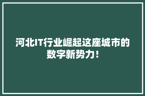 河北IT行业崛起这座城市的数字新势力！ 百度SEO