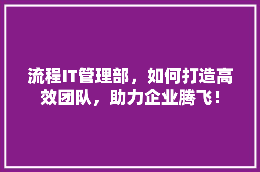 流程IT管理部，如何打造高效团队，助力企业腾飞！ 百度SEO