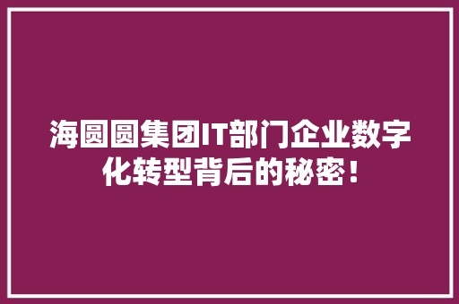 海圆圆集团IT部门企业数字化转型背后的秘密！ 神马SEO