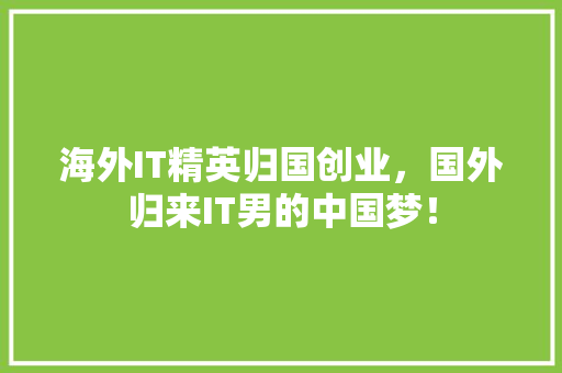海外IT精英归国创业，国外归来IT男的中国梦！