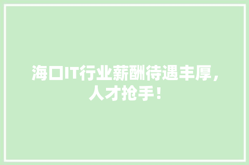 海口IT行业薪酬待遇丰厚，人才抢手！