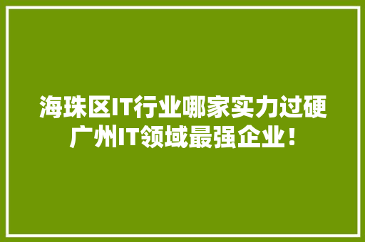 海珠区IT行业哪家实力过硬广州IT领域最强企业！