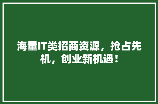 海量IT类招商资源，抢占先机，创业新机遇！
