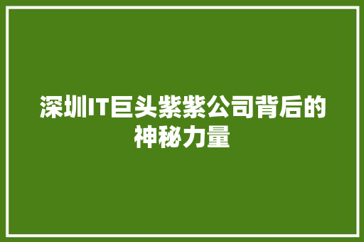 深圳IT巨头紫紫公司背后的神秘力量 网站建设公司
