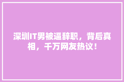 深圳IT男被逼辞职，背后真相，千万网友热议！