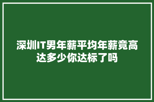 深圳IT男年薪平均年薪竟高达多少你达标了吗 神马SEO