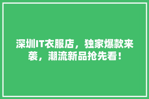 深圳IT衣服店，独家爆款来袭，潮流新品抢先看！ 网站建设公司