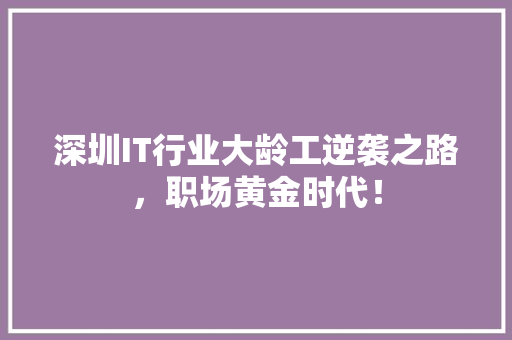 深圳IT行业大龄工逆袭之路，职场黄金时代！ 搜狗SEO