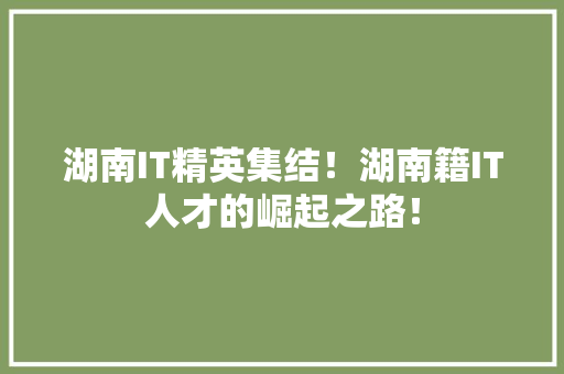 湖南IT精英集结！湖南籍IT人才的崛起之路！