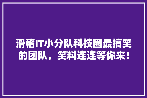 滑稽IT小分队科技圈最搞笑的团队，笑料连连等你来！