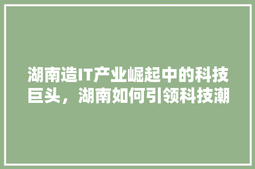 湖南造IT产业崛起中的科技巨头，湖南如何引领科技潮流