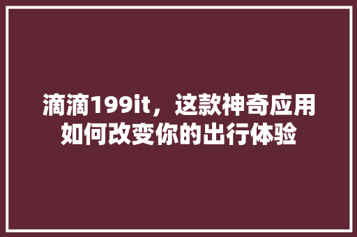滴滴199it，这款神奇应用如何改变你的出行体验 必应SEO