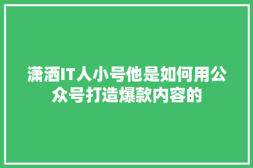 潇洒IT人小号他是如何用公众号打造爆款内容的 SEO关键词