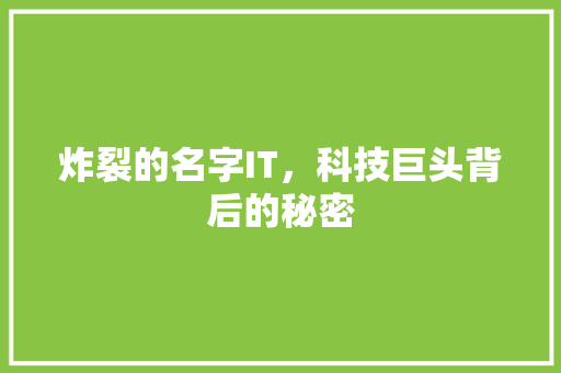 炸裂的名字IT，科技巨头背后的秘密