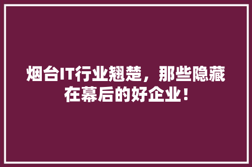 烟台IT行业翘楚，那些隐藏在幕后的好企业！