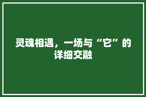 灵魂相遇，一场与“它”的详细交融
