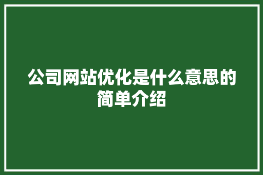 公司网站优化是什么意思的简单介绍 公司网站优化是什么意思的简单介绍 搜狗SEO