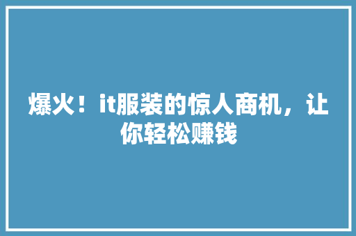 爆火！it服装的惊人商机，让你轻松赚钱 SEO关键词