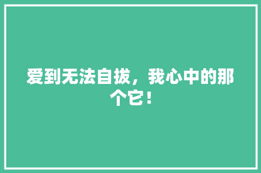 爱到无法自拔，我心中的那个它！