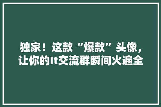 独家！这款“爆款”头像，让你的It交流群瞬间火遍全网！ 搜狗SEO