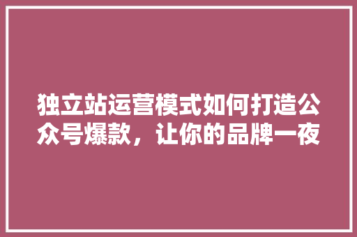 独立站运营模式如何打造公众号爆款，让你的品牌一夜爆红！