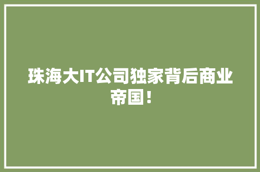 珠海大IT公司独家背后商业帝国！