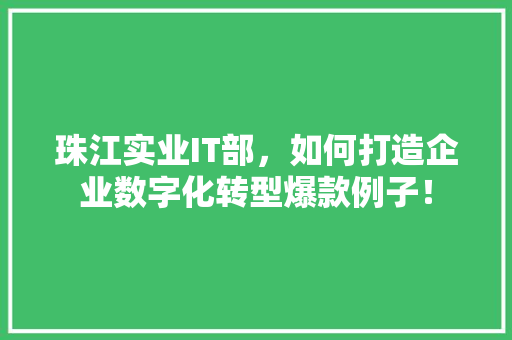 珠江实业IT部，如何打造企业数字化转型爆款例子！