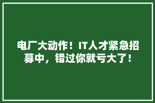 电厂大动作！IT人才紧急招募中，错过你就亏大了！