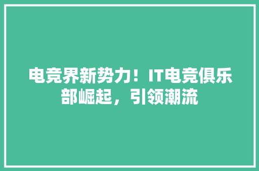 电竞界新势力！IT电竞俱乐部崛起，引领潮流