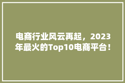 电商行业风云再起，2023年最火的Top10电商平台！