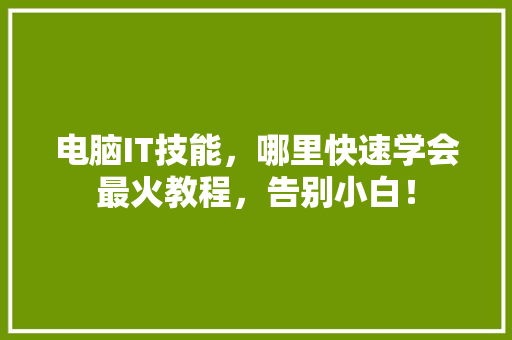 电脑IT技能，哪里快速学会最火教程，告别小白！