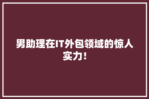 男助理在IT外包领域的惊人实力！