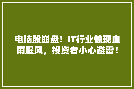 电脑股崩盘！IT行业惊现血雨腥风，投资者小心避雷！ SEO关键词