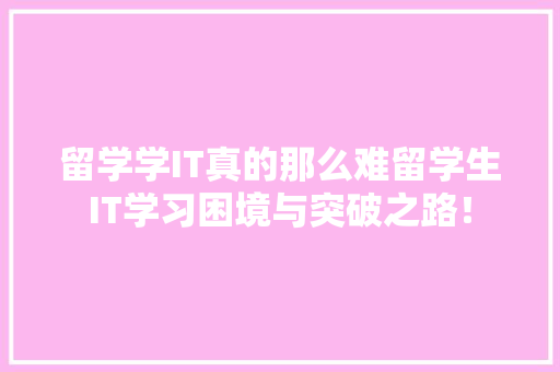 留学学IT真的那么难留学生IT学习困境与突破之路！