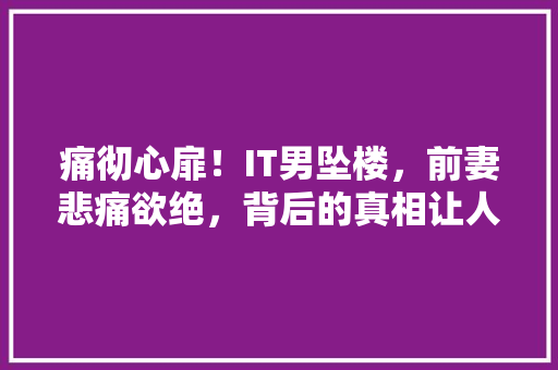 痛彻心扉！IT男坠楼，前妻悲痛欲绝，背后的真相让人泪目！ 必应SEO