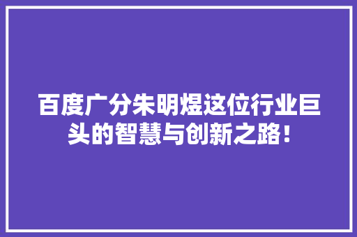 百度广分朱明煜这位行业巨头的智慧与创新之路！ 必应SEO