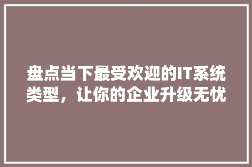 盘点当下最受欢迎的IT系统类型，让你的企业升级无忧 必应SEO