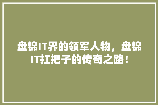 盘锦IT界的领军人物，盘锦IT扛把子的传奇之路！
