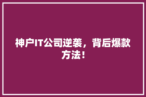 神户IT公司逆袭，背后爆款方法！