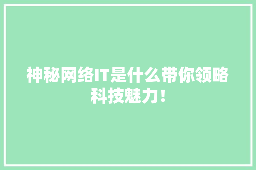 神秘网络IT是什么带你领略科技魅力！