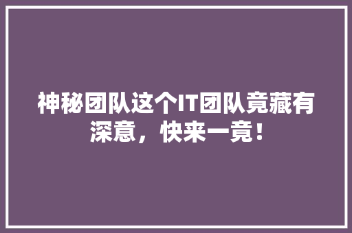 神秘团队这个IT团队竟藏有深意，快来一竟！