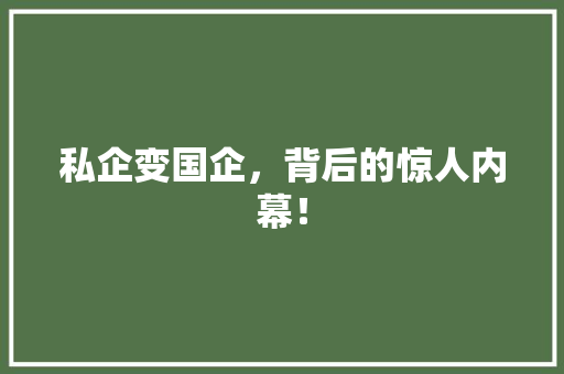 私企变国企，背后的惊人内幕！