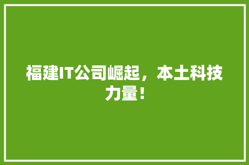 福建IT公司崛起，本土科技力量！