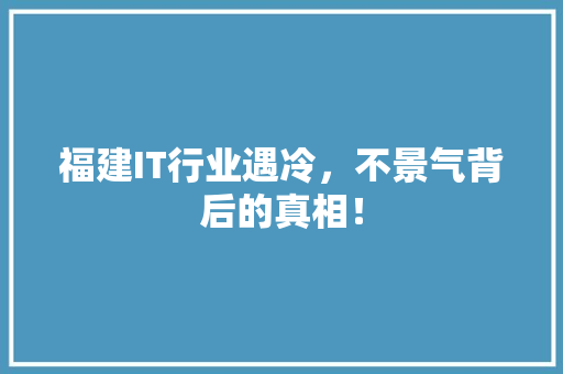 福建IT行业遇冷，不景气背后的真相！