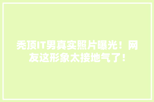 秃顶IT男真实照片曝光！网友这形象太接地气了！