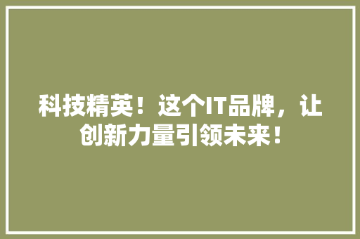 科技精英！这个IT品牌，让创新力量引领未来！