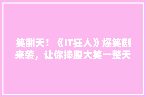 笑翻天！《IT狂人》爆笑剧来袭，让你捧腹大笑一整天！ SEO关键词